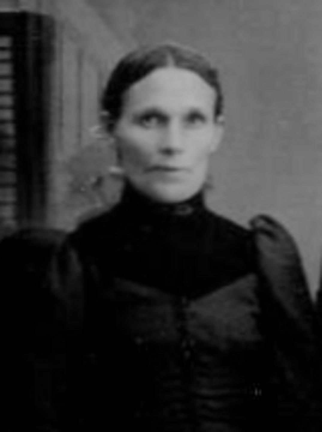 Isabella Burt (1842 - 1920) Profile